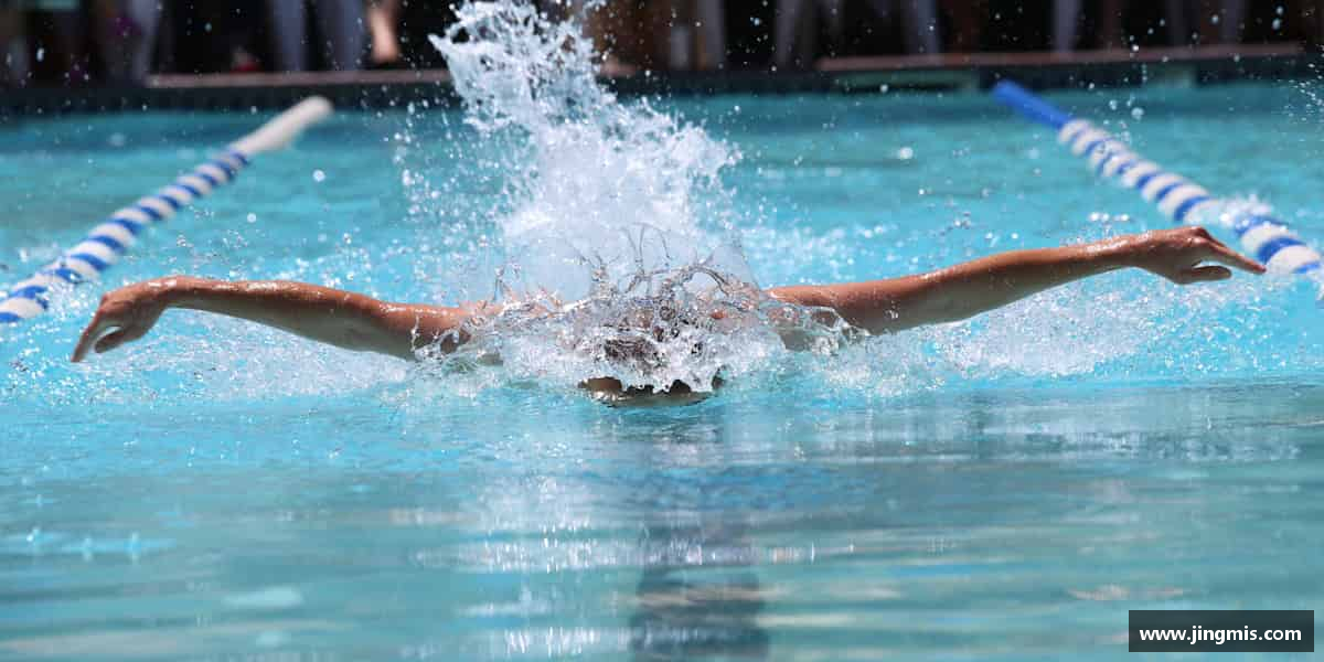 介绍芒果(mangosport)体育